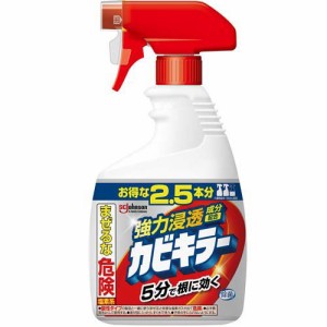 カビキラー カビ取り剤 本体 特大サイズ 大容量(1000g)[お風呂用カビ取り・防カビ剤]