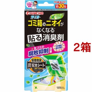 クリーンフロー ゴミ箱のニオイがなくなる貼る消臭剤 ミントの香り(1コ入*2箱セット)[排水口・生ごみ用 消臭・除菌スプレー]