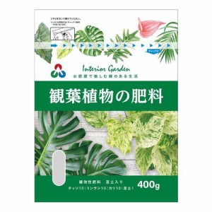 ST 観葉植物の肥料(400g)[肥料・活力剤]