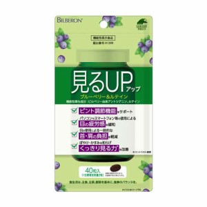 見るアップ ブルーベリー＆ルテイン(455mg×40粒入)[その他 野菜・果実サプリメント]