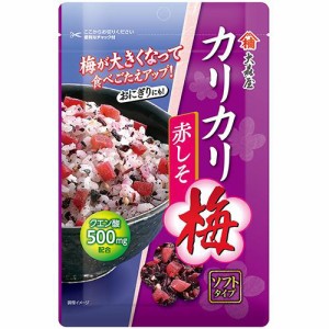 大森屋 カリカリ梅 赤しそ(40g*30袋セット)[ふりかけ]