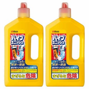 パイプユニッシュ パイプクリーナー 排水口クリーナー(800g*2本セット)[排水口つまり・ヌメリとり]