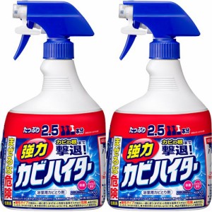 強力カビハイター お風呂用カビ取り剤 スプレー 特大(1000ml*2個セット)[お風呂用カビ取り・防カビ剤]