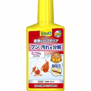 テトラ 金魚のバクテリア(250ml)[アクアリウム用水質調整]