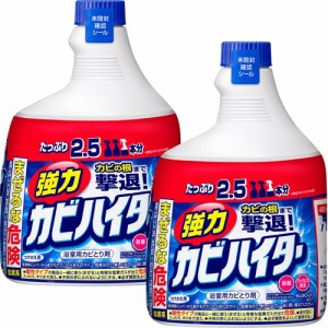 強力カビハイター お風呂用カビ取り剤 付け替え 特大(1000ml*2本セット)[お風呂用カビ取り・防カビ剤]