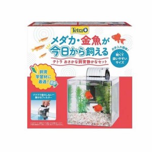 テトラ おさかな飼育 静かなセット PL-17SF(1個)[水槽]