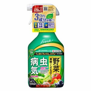 ベニカVフレッシュスプレー(1000ml)[殺虫・除草剤・薬品全般]