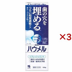 ハウメル(100g×3セット)[歯周病・知覚過敏用歯磨き粉]