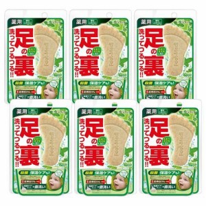 フットメジ 薬用フットソープ フレッシュハーブの香り(65g*6セット)[足の臭いケア]