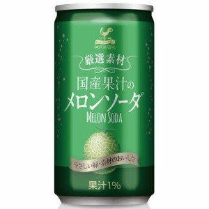 神戸居留地 厳選素材 国産果汁のメロンソーダ 缶(185ml*20本入)[炭酸飲料]