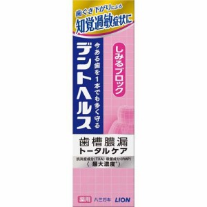 デントヘルス 薬用ハミガキ しみるブロック(85g)[大人用歯磨き粉]