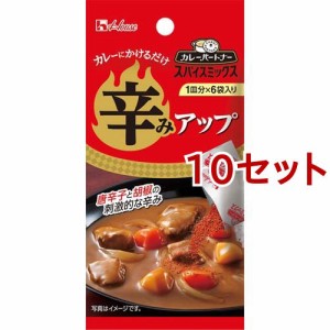 カレーパートナー スパイスミックス 辛みアップ(4.2g*10セット)[香辛料]