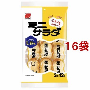 ミニサラダ しお味(24枚入*16袋セット)[せんべい・おかき・あられ]