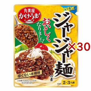 ジャージャー麺の素(270g×30セット)[つゆ]