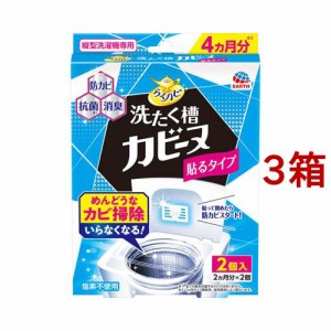 らくハピ 洗たく槽カビーヌ 貼るタイプ 防カビ剤 カビ発生防止(2個入*3箱セット)[洗濯用品 その他]