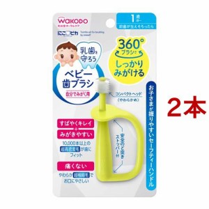 和光堂 にこピカ ベビー歯ブラシ 自分でみがく用(2本セット)[ベビー歯ブラシ(自分でみがく)]