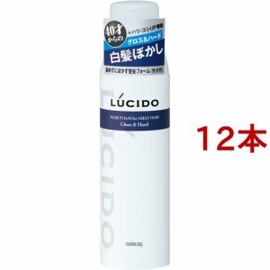 ルシード 白髪用整髪フォーム グロス＆ハード(185g*12本セット)[ヘアスタイリング剤 その他]