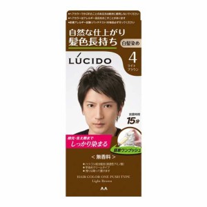 ルシード ワンプッシュケアカラー ライトブラウン(100g)[白髪染め 男性用]