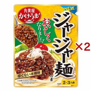 ジャージャー麺の素(270g×2セット)[つゆ]