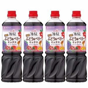 フルーティス 黒酢 ぶどう＆ベリーミックス 6倍濃縮タイプ 業務用(1000ml×4セット)[食酢]