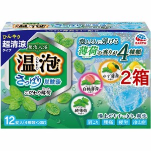 温泡 入浴剤  さっぱり炭酸湯 こだわり薄荷(45ｇ*12錠入*2箱セット)[入浴剤 クール]