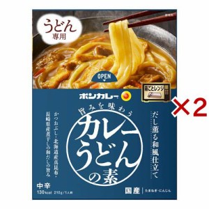 大塚食品 ボンカレー 旨みを味わうカレーうどんの素 だし薫る和風仕立て(210g×2セット)[うどん・そば・そうめん他]