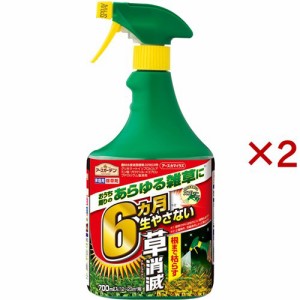 アースガーデン 除草剤 アースカマイラズ 草消滅 スプレー(700ml×2セット)[殺虫・除草剤・薬品全般]