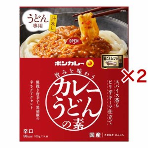 大塚食品 ボンカレー 旨みを味わうカレーうどんの素 スパイス香るピリ辛キーマ仕立て(100g×2セット)[うどん・そば・そうめん他]