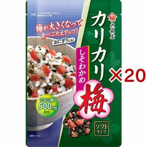 大森屋 カリカリ梅 しそわかめ(40g×20セット)[ふりかけ]