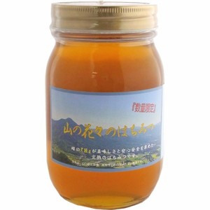 つかもと養蜂場 山の花々のはちみつ(600g)[はちみつ]