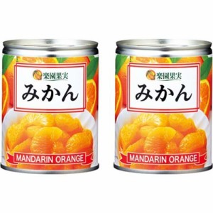 楽園果実 みかん EO M3号缶(350g*2缶セット)[フルーツ加工缶詰]