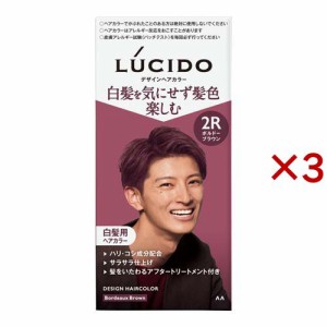 LUCIDO(ルシード) デザインヘアカラー ボルドーブラウン 白髪染め メンズ(3セット)[白髪染め 男性用]