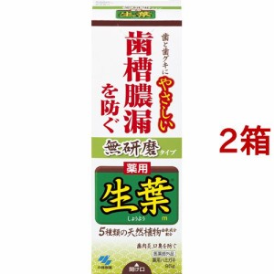 生葉 無研磨タイプ(95g*2箱セット)[歯周病・知覚過敏用歯磨き粉]