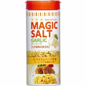 エスビー食品 マジックソルト ガーリック(80g)[塩]