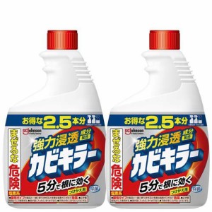 カビキラー カビ取り剤 付替用 特大サイズ 大容量(1000g*2コセット)[お風呂用カビ取り・防カビ剤]