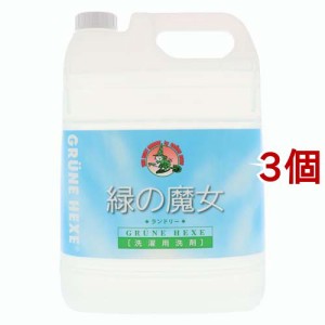 業務用 洗濯 洗剤の通販｜au PAY マーケット