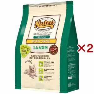 ニュートロ ナチュラル チョイス ラム&玄米 超小型犬~小型犬用 エイジングケア(1kg×2セット)[ドッグフード(ドライフード)]