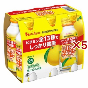 パーフェクトビタミン 1日分のビタミン グレープフルーツ味(6本入×5セット(1本120ml))[健康ドリンク]