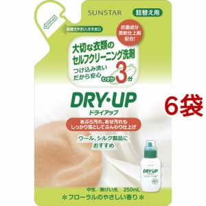 ドライアップ 詰替え用(250ml*6袋セット)[ドライ用・ウール用洗剤]