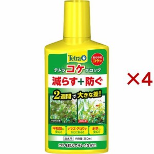 テトラ コケブロック(250ml×4セット)[観賞魚用 アクセサリー]