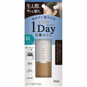 シエロ ワンデー白髪かくし ナチュラルブラック(9ml)[白髪隠し]