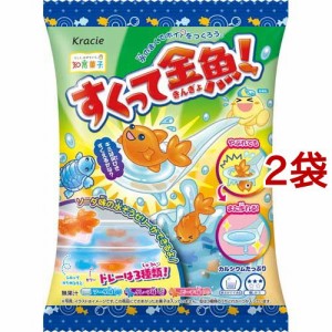 すくって金魚！(14g*2袋セット)[お菓子 その他]