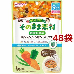 和光堂 1食分の野菜入り そのまま素材 緑黄色野菜 9か月頃〜(80g*48袋セット)[ベビーフード(8ヶ月から) その他]