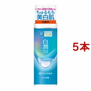 肌研(ハダラボ) 白潤 薬用美白化粧水(170ml*5本セット)[高保湿化粧水]