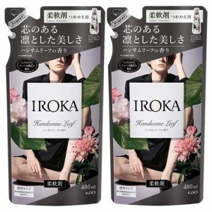フレア フレグランス IROKA 柔軟剤 ハンサムリーフの香り 詰め替え(480ml*2袋セット)[つめかえ用柔軟剤(液体)]
