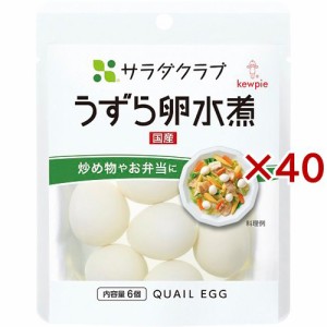 サラダクラブ うずら卵水煮 6コ(40セット)[インスタント食品 その他]