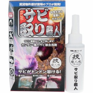 技 職人魂 サビ取り職人(100ml)[住居用洗剤]