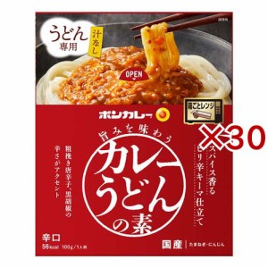 大塚食品 ボンカレー 旨みを味わうカレーうどんの素 スパイス香るピリ辛キーマ仕立て(100g×30セット)[うどん・そば・そうめん他]