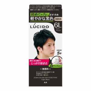LUCIDO(ルシード) ワンプッシュケアカラーライトブラック 白髪染め メンズ(1セット)[白髪染め 男性用]