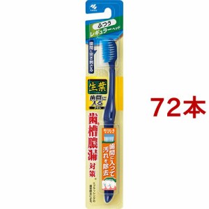 生葉 歯間に入るブラシ レギュラー ふつう(72本セット)[歯ブラシ]